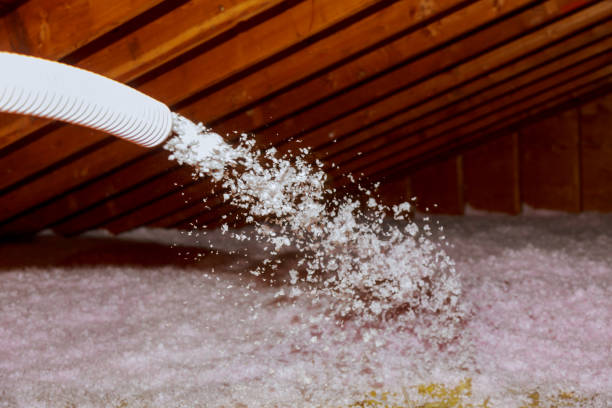 Best Commercial Insulation in Coral Hills, MD