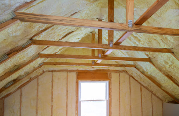 Types of Insulation We Offer in Coral Hills, MD