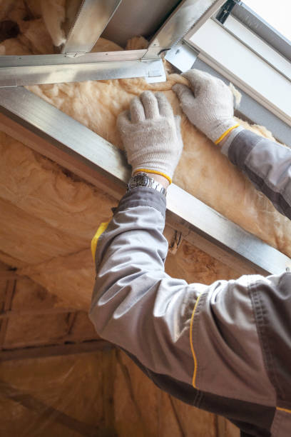 Professional Insulation Contractor in Coral Hills, MD